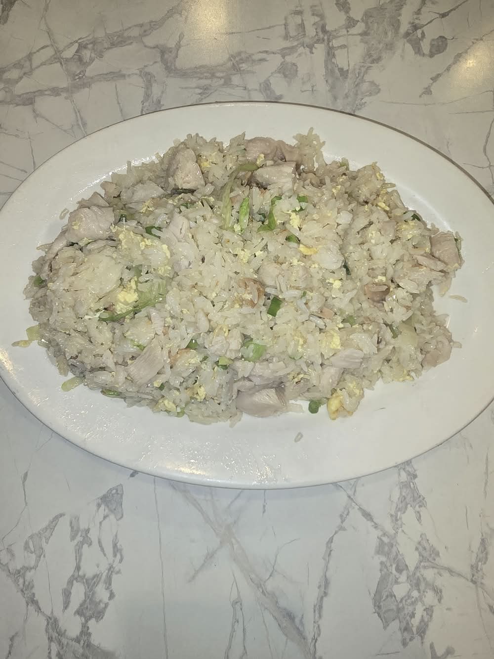 Salty Fish Chicken Fried Rice 咸鱼鸡炒饭